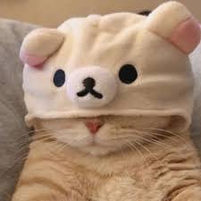 ثنا میر avatar