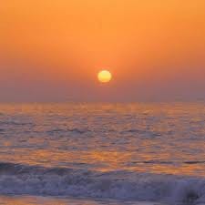 شاہ حسین avatar