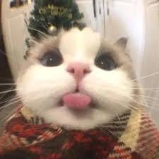 جنید خان avatar